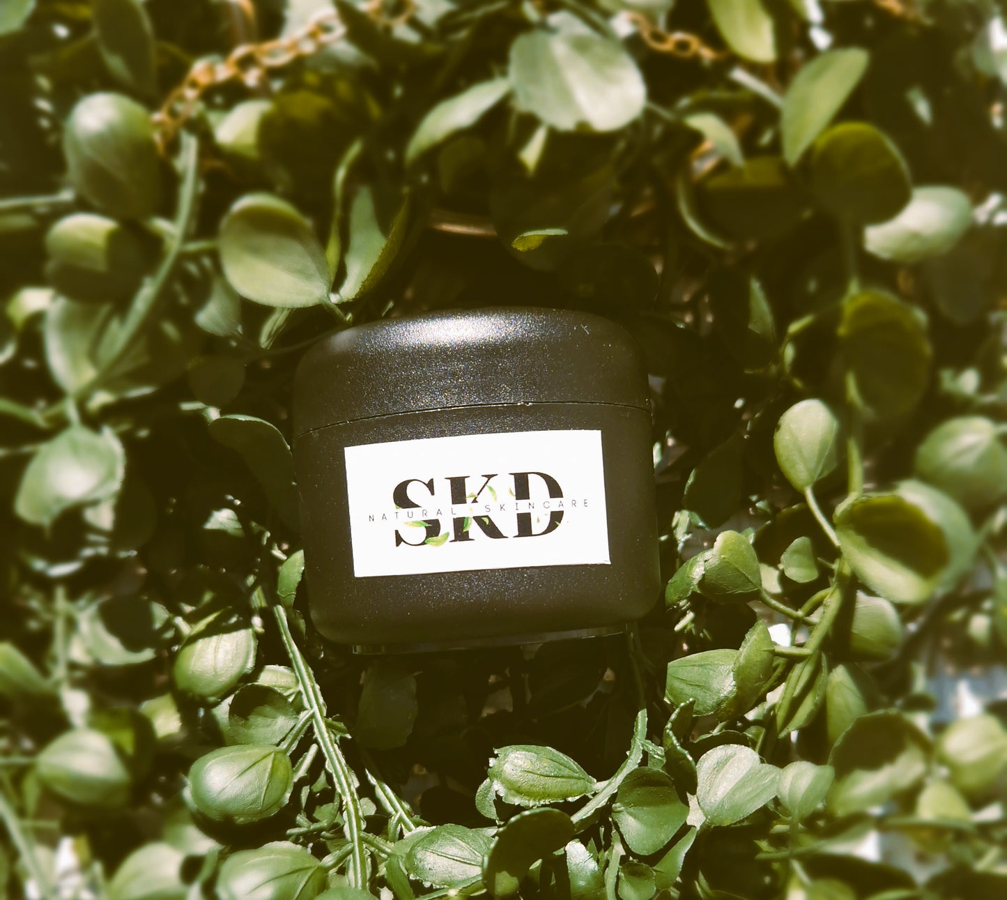 Radiant Renewal Hyaluronic Cream 50ml